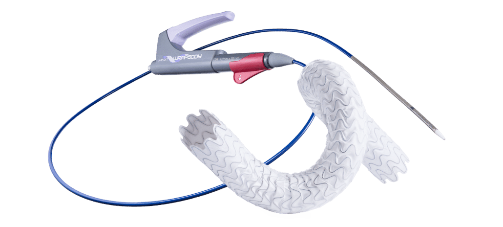 Stent WRAPSODY