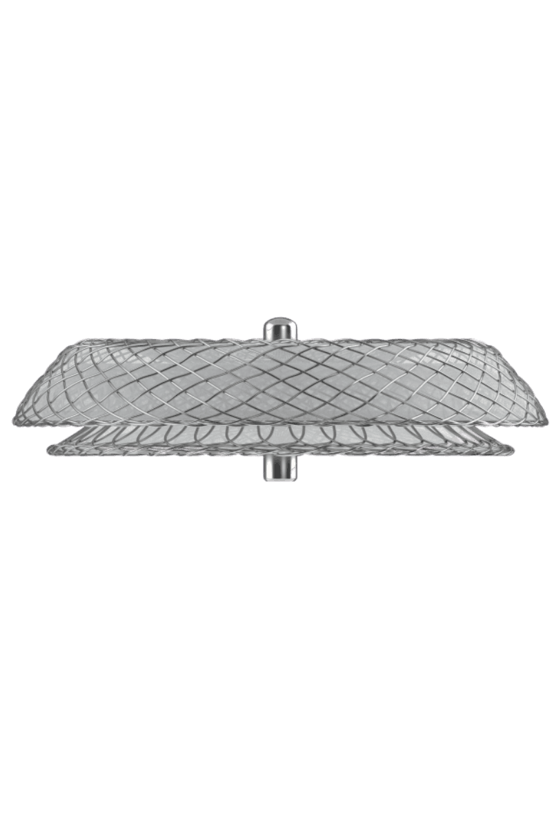 Stent Coronario