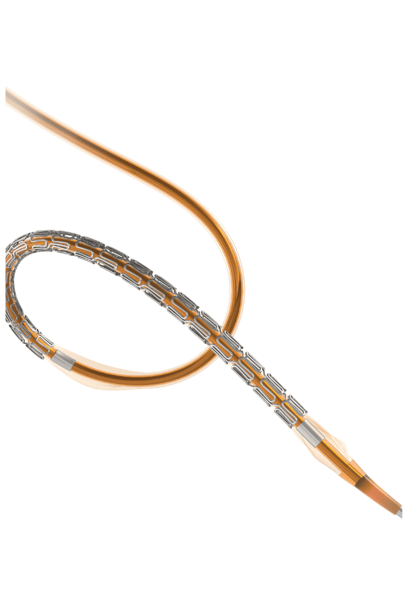 Stent Coronario